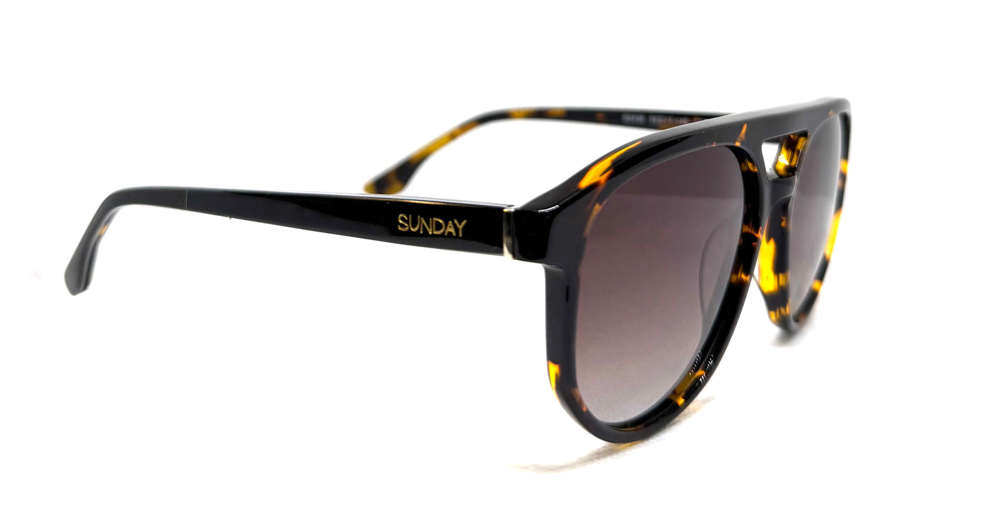 Craig - Tortoise Shell