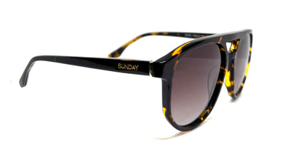 Craig - Tortoise Shell